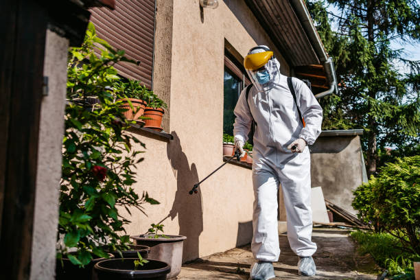Best Flea Control Services  in Kdeer, IL