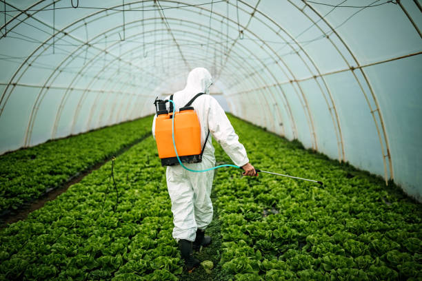 Best Pest Inspection Near Me  in Kdeer, IL