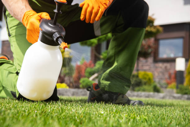 Best Rodent Control Near Me  in Kdeer, IL