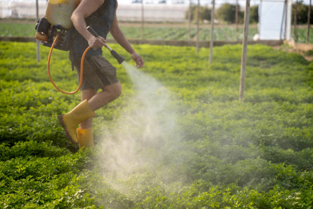 Best Pest Removal Services  in Kdeer, IL