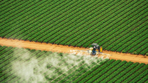 Best Pest Control for Homes  in Kdeer, IL