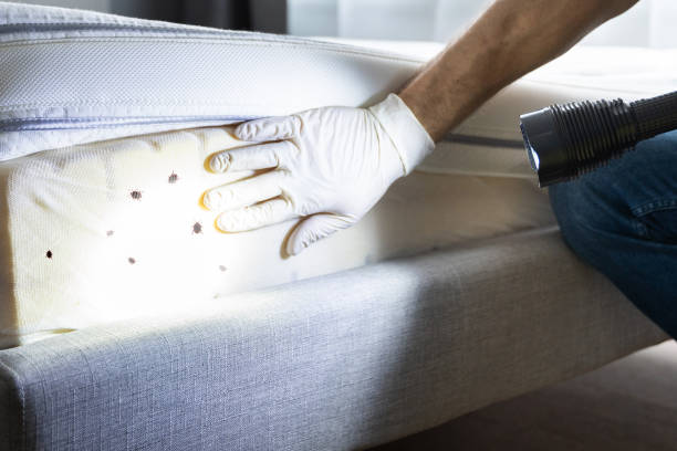 Best Best Pest Control Companies  in Kdeer, IL