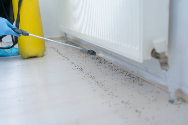 Best Rat Extermination Near Me  in Kdeer, IL