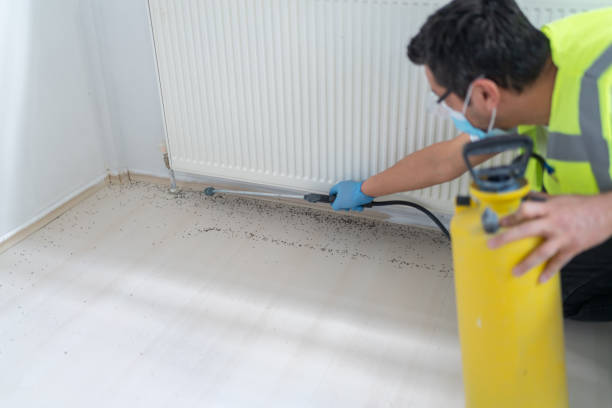Best Emergency Pest Control  in Kdeer, IL
