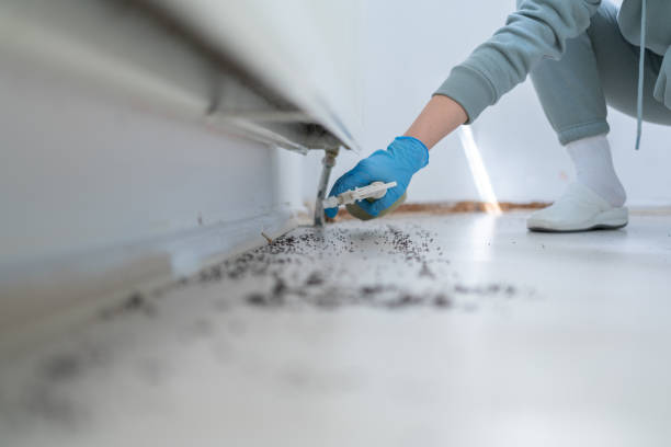 Best Residential Pest Control  in Kdeer, IL
