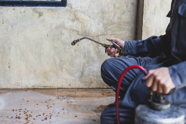 Flea Control Services in Kildeer, IL