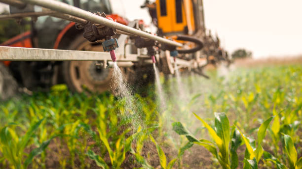 Best Pest Prevention Services  in Kdeer, IL